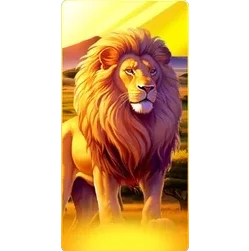 Lion
Safari